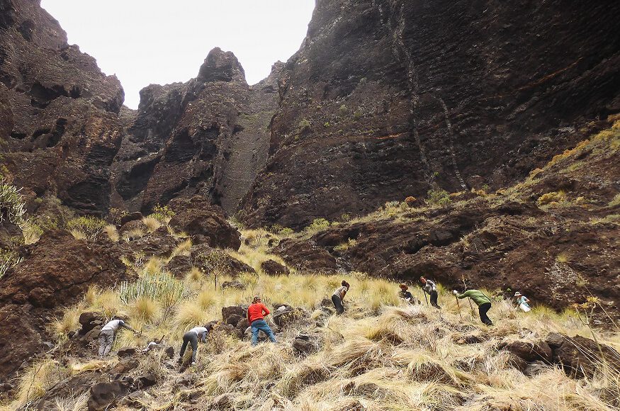 Bta_rabo de gato 10 años 2021.12 01