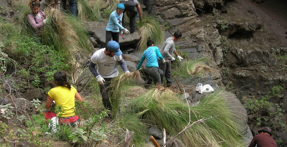 Bta_rabo de gato 10 años 2021.12 02