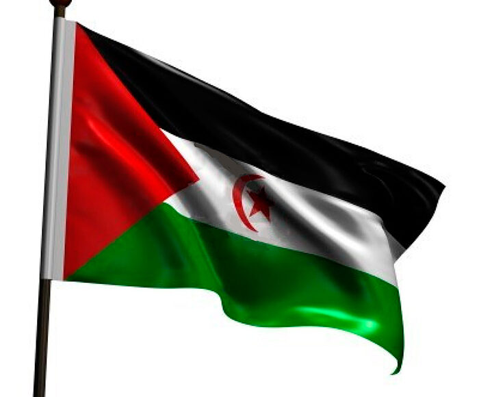 bandera_saharaui_2